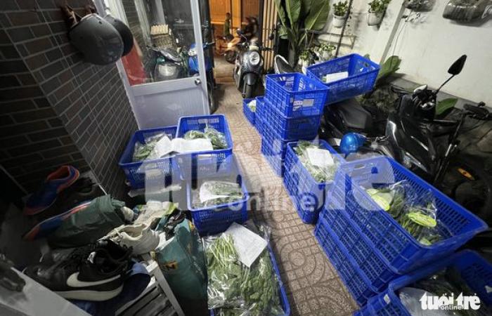 Investigating fake clean vegetables: ‘Turns’ market vegetables into 3 clean vegetables!